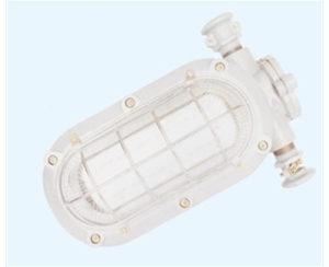 青岛矿用隔爆型LED支架灯